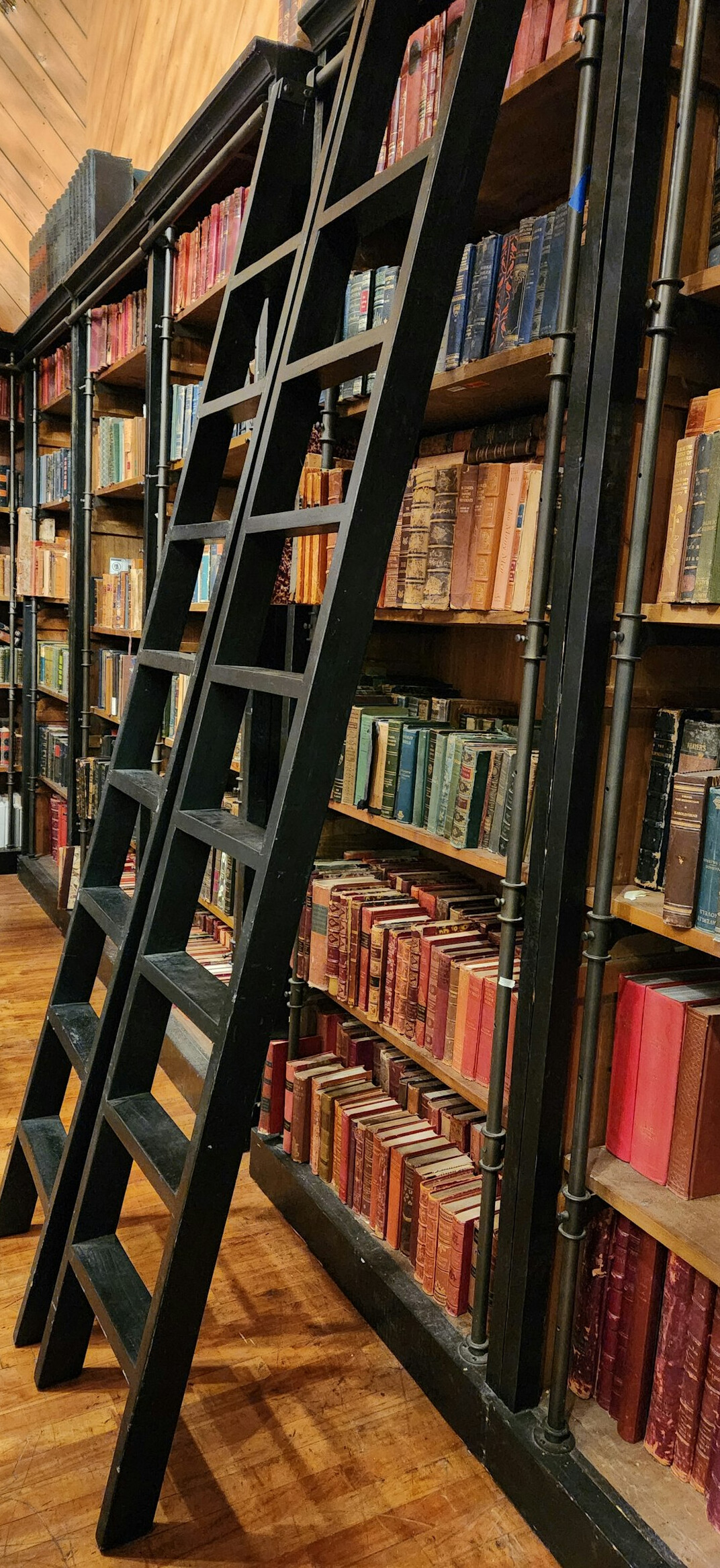 Library with tall shelves and ladders