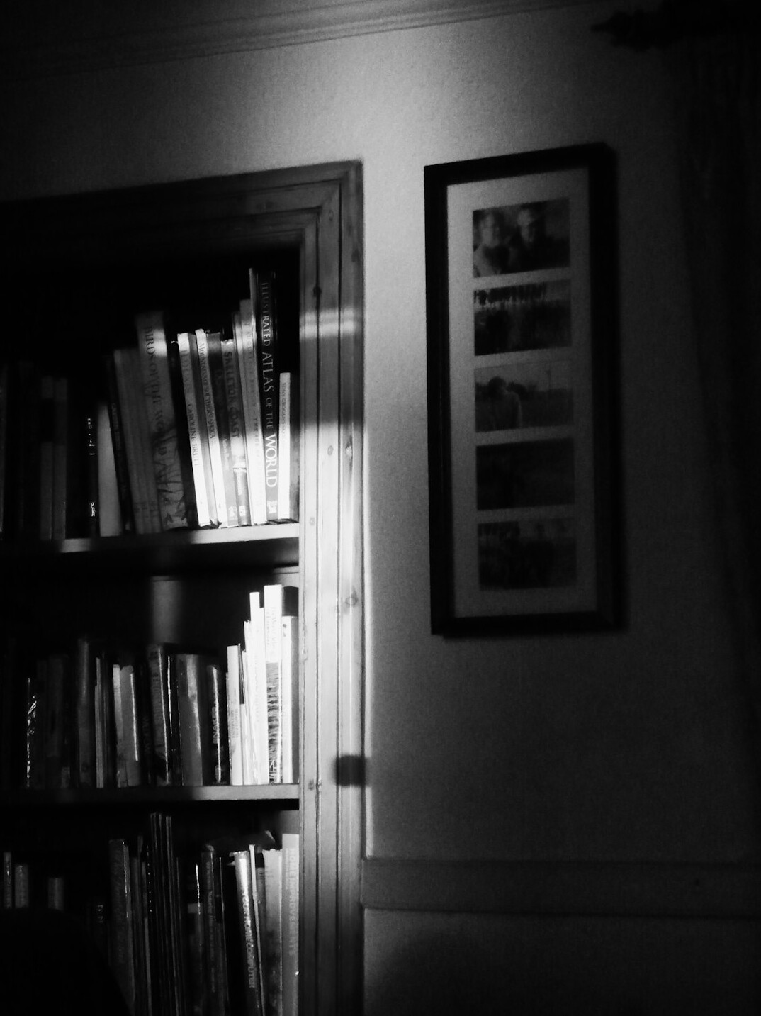 Wall of books in a reading room